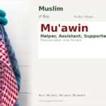 Mu'awin Name Meaning and Details