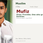 Mufiz Name Meaning and Details