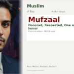 Mufzaal Name Meaning and Details