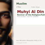 Muhyi Al Din Name Meaning and Details