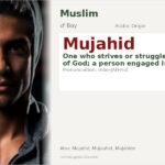Mujahid Name Meaning and Details
