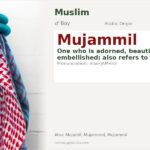 Mujammil Name Meaning and Details