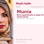 Munia Name Meaning and Details