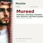 Mureed Name Meaning and Details