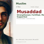 Musaddad Name Meaning and Details