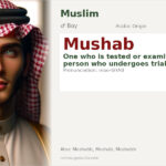 Mushab Name Meaning and Details