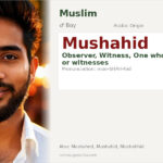 Mushahid Name Meaning and Details