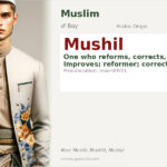 Mushil Name Meaning and Details