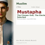 Mustapha Name Meaning and Details