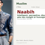 Naabih Name Meaning and Details