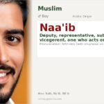 Naa'ib Name Meaning and Details