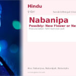 Nabanipa Name Meaning and Details