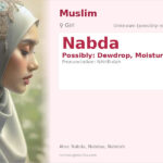 Nabda Name Meaning and Details