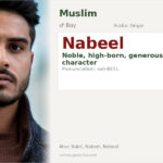 Nabeel Name Meaning and Details
