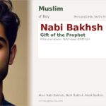 Nabi Bakhsh Name Meaning and Details
