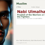 Nabi Ulmalhamsh Name Meaning and Details