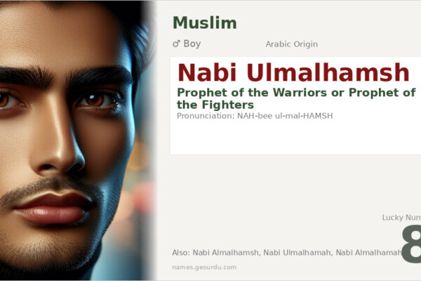 Nabi Ulmalhamsh Meaning — Arabic Origin, Boy Name & Details (2025)