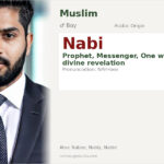 Nabi Name Meaning and Details