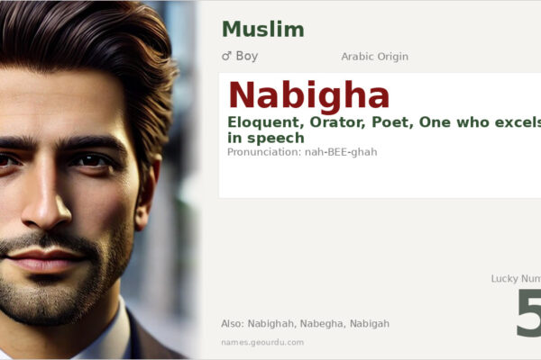 Nabigha Name Meaning — Arabic Origin, Boy Name & History (2025)
