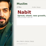 Nabit Name Meaning and Details