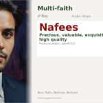 Nafees Name Meaning and Details