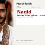 Nagid Name Meaning and Details