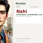 Nahi Name Meaning and Details