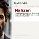 Nahzan Name Meaning and Details