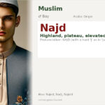 Najd Name Meaning and Details