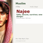 Najee Name Meaning and Details