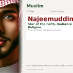 Najeemuddin Name Meaning and Details