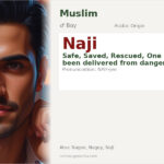 Naji Name Meaning and Details