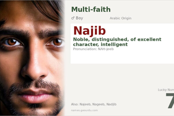 Najib Name Meaning — Arabic Origin, Boy Name & Details (2025)