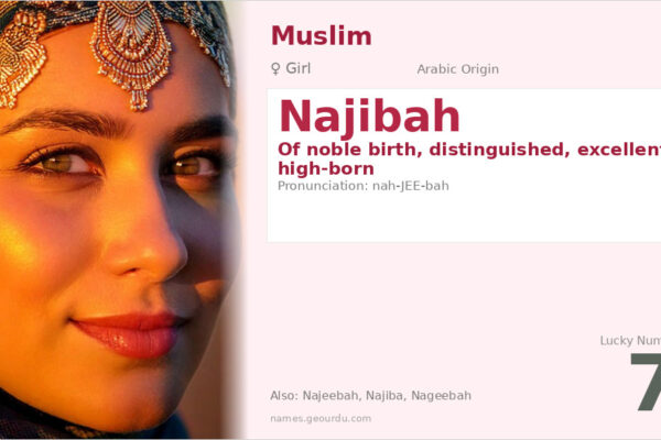 Najibah Name Meaning — Arabic Origin, Girl & Details (2025)