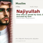 Najiyullah Name Meaning and Details