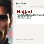 Najjad Name Meaning and Details