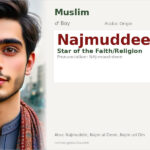 Najmuddeen Name Meaning and Details
