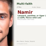 Namir Name Meaning and Details