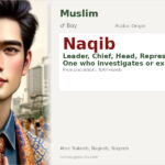 Naqib Name Meaning and Details