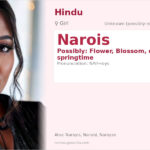 Narois Name Meaning and Details