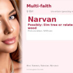 Narvan Name Meaning and Details