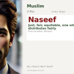Naseef Name Meaning and Details