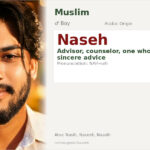 Naseh Name Meaning and Details
