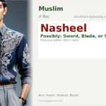 Nasheel Name Meaning and Details
