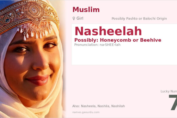 Nasheelah Name Meaning — Origin, Gender & Details (2025)