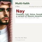 Nay Name Meaning and Details