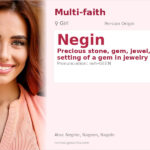 Negin Name Meaning and Details