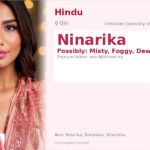 Ninarika Name Meaning and Details