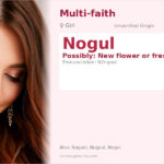 Nogul Name Meaning and Details