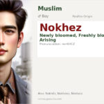 Nokhez Name Meaning and Details